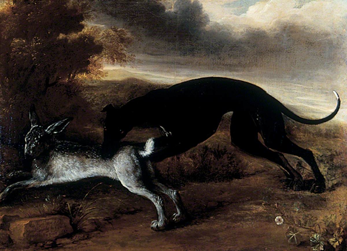 Greyhound and Hare