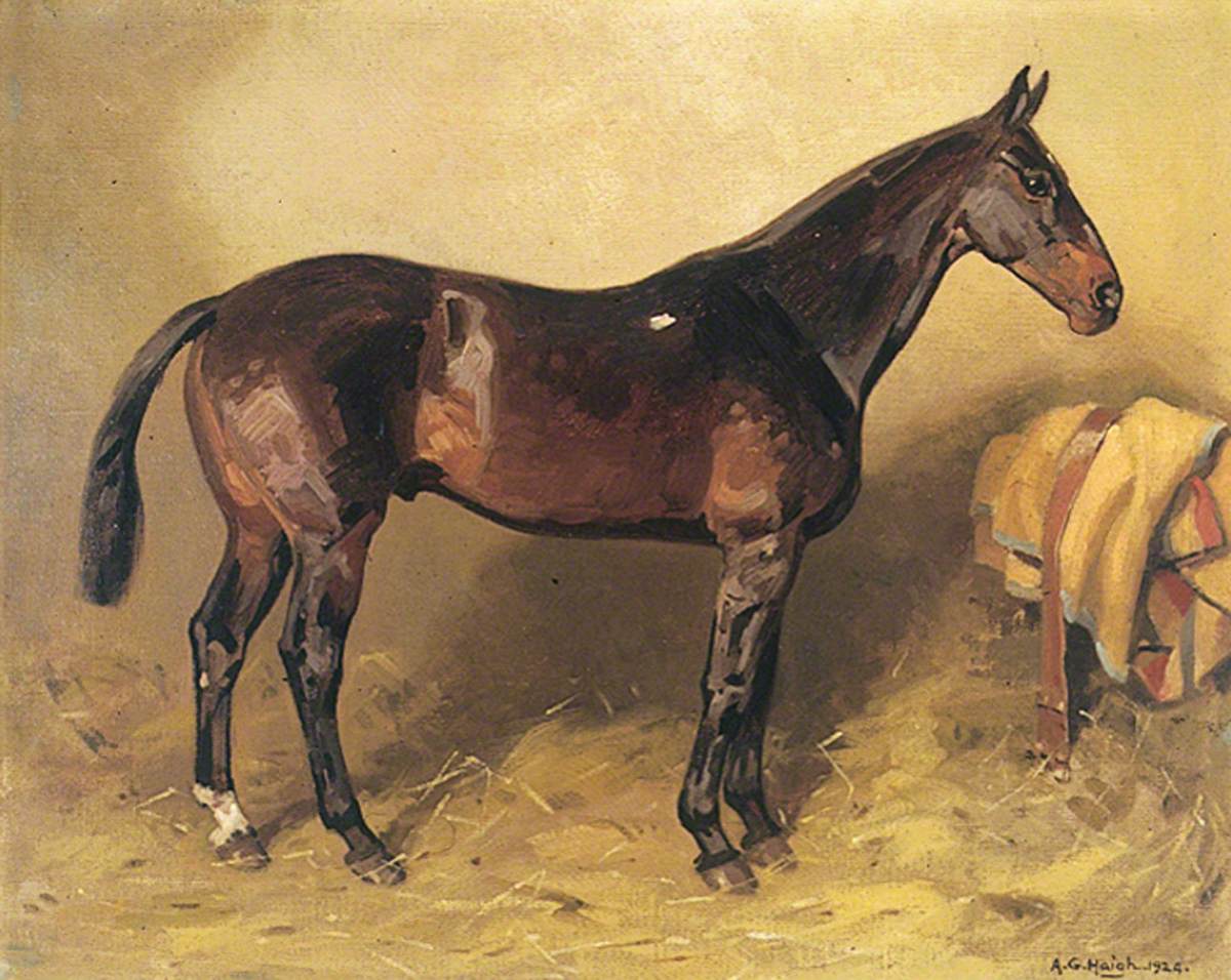 Horse Portrait, 'Ruka'