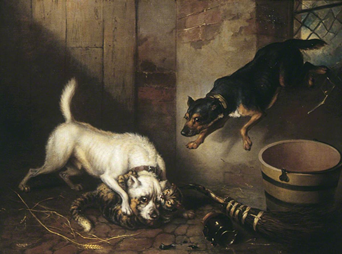 Two Dogs Mauling a Cat