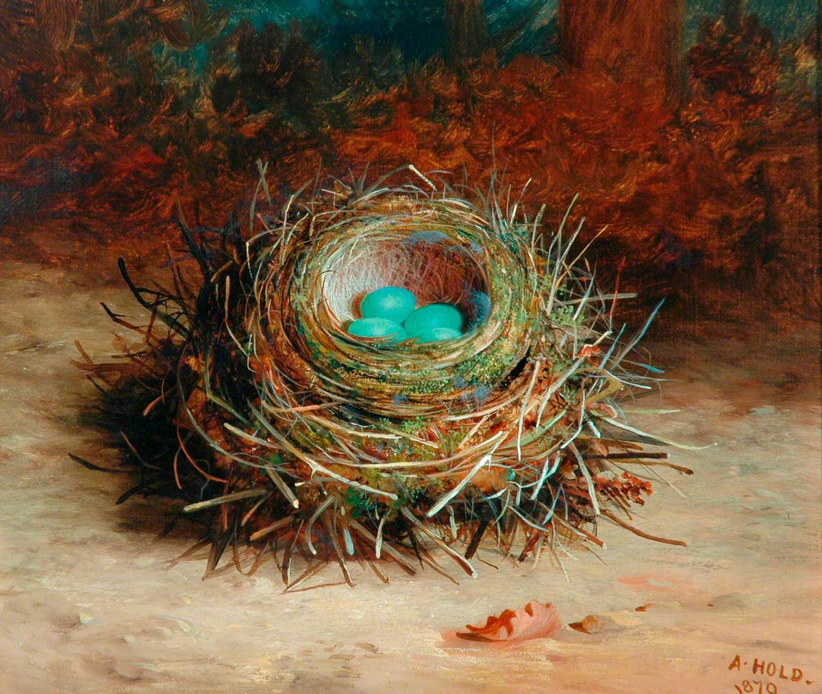 Hedge Sparrow's Nest