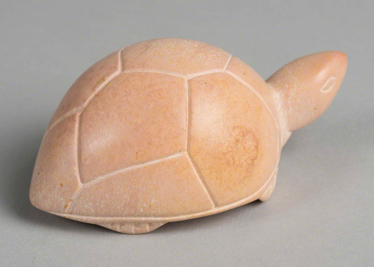 Peace Tortoise