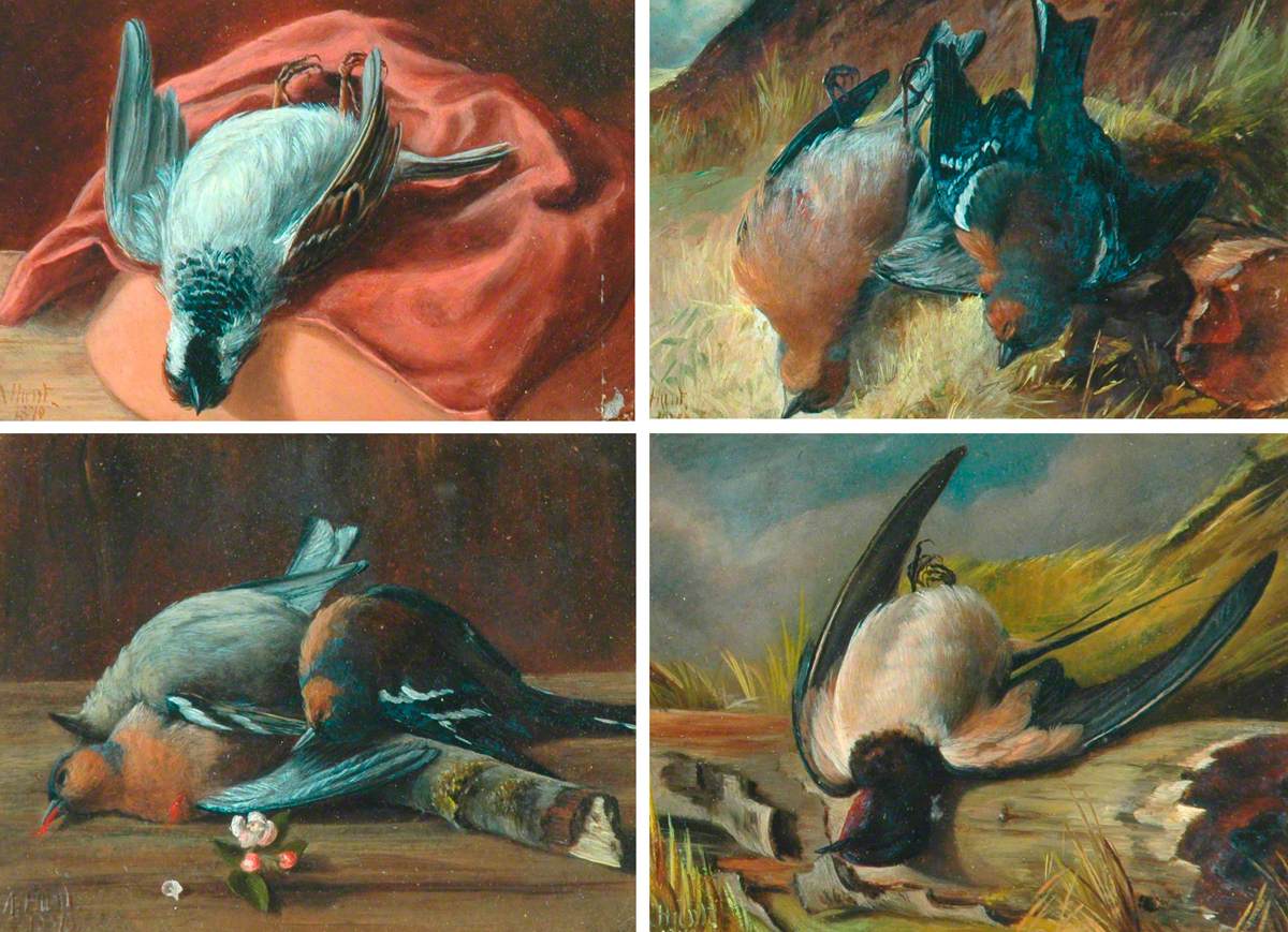 Four Studies of Dead Birds