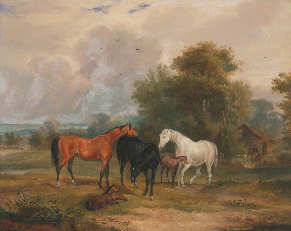 Horses Grazing: Mares and Foals in a Field