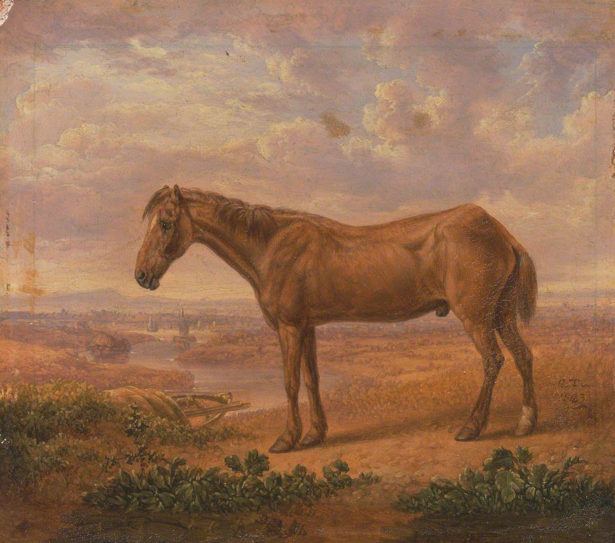 Old Billy, a Draught Horse, Aged 62