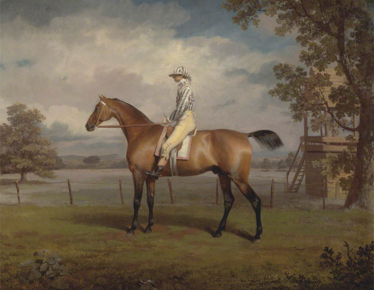A Racehorse, Possibly Disguise, the Property of the Duke of Hamilton, with Jockey Up