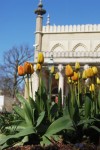 Brighton Museum & Art Gallery?