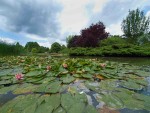 Burnby Hall and Gardens?