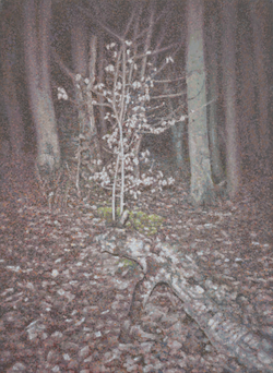 Silent Witness