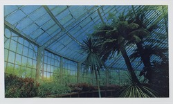 Winter Garden-Arcology