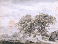 Oaks and a Cottage