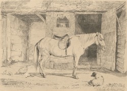 Horse Standing in a Farmhouse