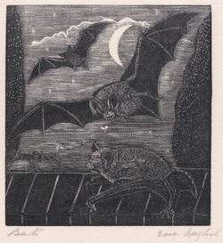 Bats