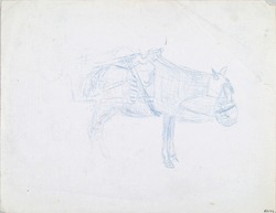 A Harnessed Horse or Donkey with Nosebag