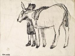 A Donkey