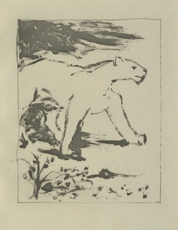 La Lionne (Lions)