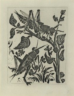 La Sauterelle (Grasshopper)