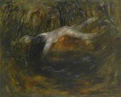 Nude Floating over a Dark Pond II