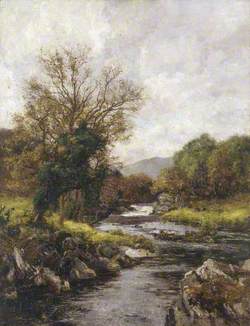 The Trout Stream