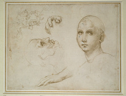 Studies for the Trinity of San Severo and sketches after Leonardo
