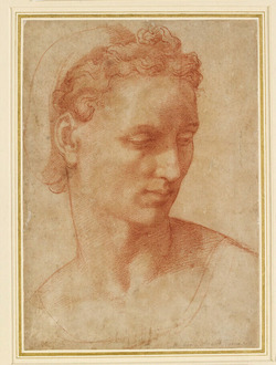Head study