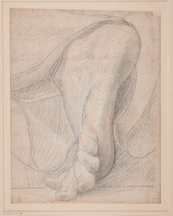 A Foot