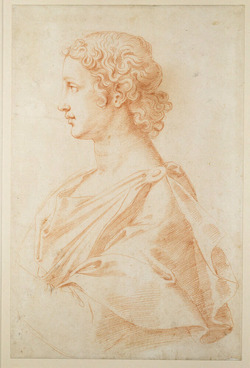 Bust in profile of a young man