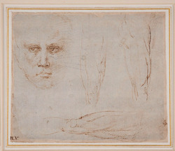 Studies of a Man's Head and Legs