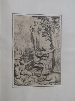 Leonille, daughter of Tirsenia, transformed into an orange tree