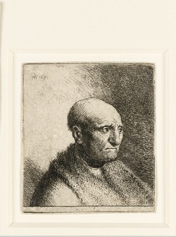 Bald man in a fur cloak: bust