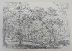 View in Parkland