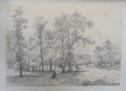 View in Kensington Gardens