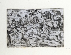 Five horses and a mule
