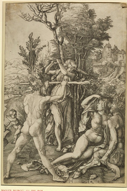 Hercules, copy