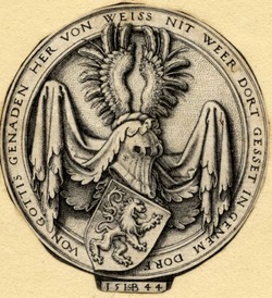 Coat of arms with a lion
