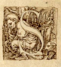 Initial alphabet letter S