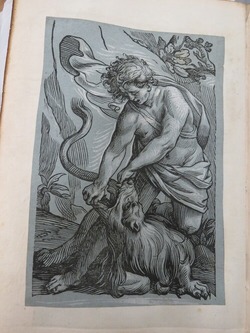 Samson and the lion