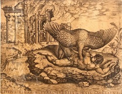 Titius. gigas. vvltvre. diversiq. penis. laceratvs
