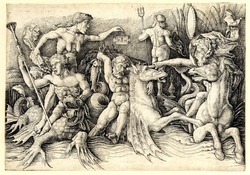 Tritons fighting