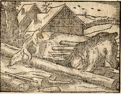 A fox convincing a bear to look for honey in a broken tree