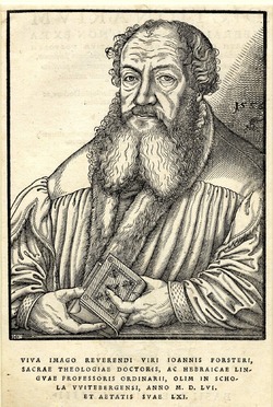Portrait of Johannes Forster, theologian in Wittenberg