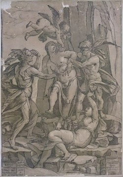 The Combat between Personifications of Love, Error, Ignorance and Opinion
