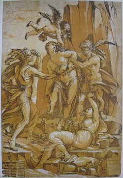 The Combat between Personifications of Love, Error, Ignorance and Opinion