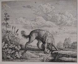 Aesop's Fables: The Dog and Piece of Flesh