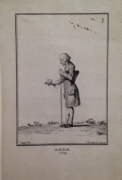 Portrait of Jean-Jacques Rousseau botanizing