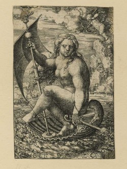 Venus sailing in a shell
