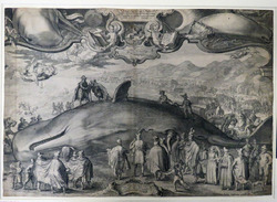 Beached whale near Beverwijk