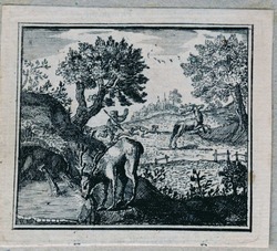 The stag at the pool