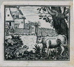 The frog and the ox