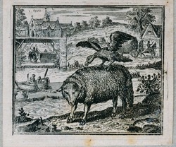 The jackdaw and the sheep