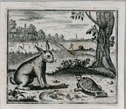 The tortoise and the hare